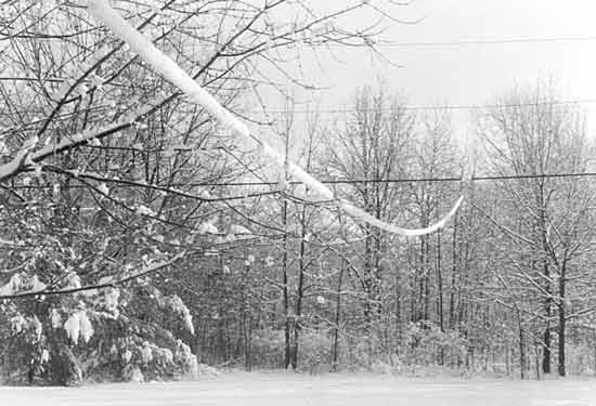 Snow Wire