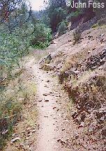 Main Expert trail downhill vert. picture