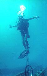 #8: David Ramos; Giraffe scuba diving